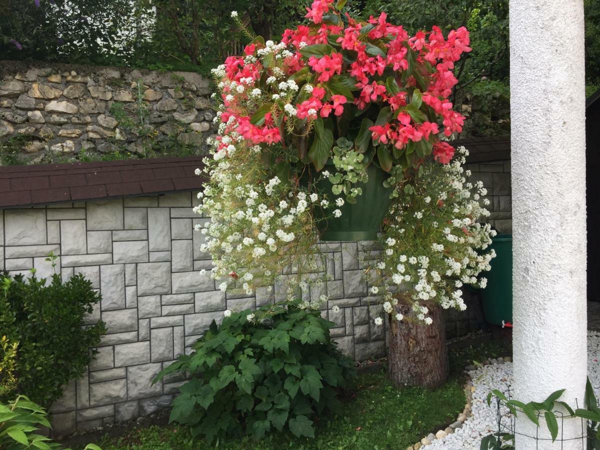 Kirhouse Apartment Bohinjska Bela Dış mekan fotoğraf